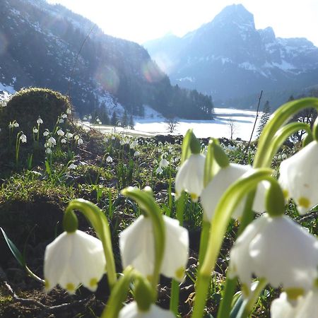 Berghotel Obersee Näfels エクステリア 写真
