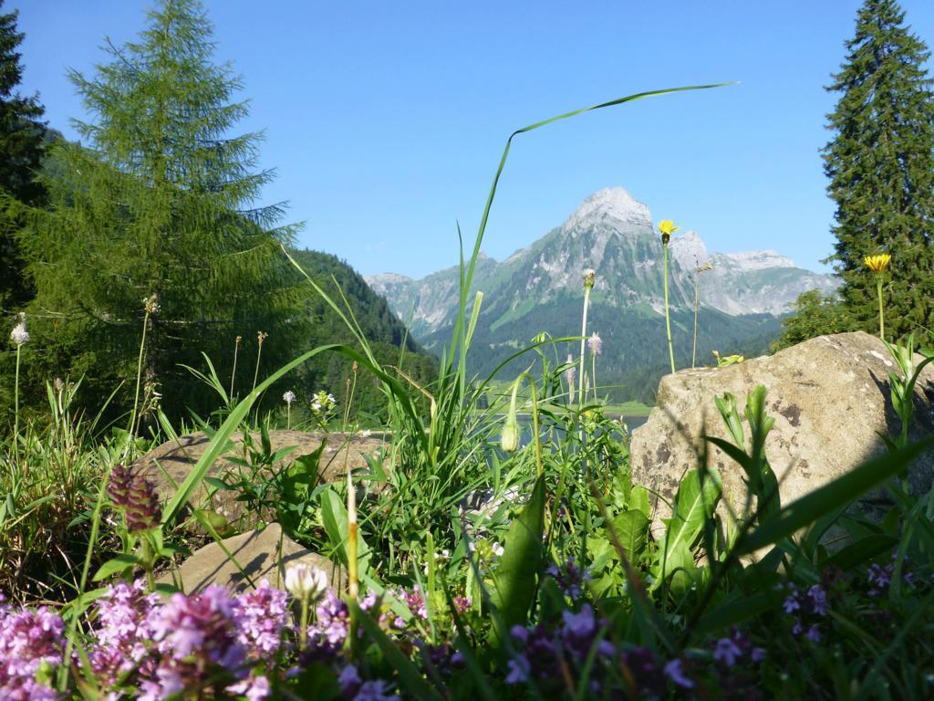 Berghotel Obersee Näfels エクステリア 写真