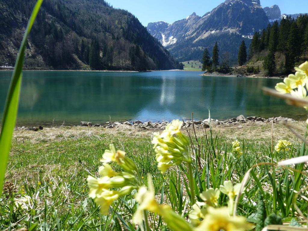 Berghotel Obersee Näfels エクステリア 写真