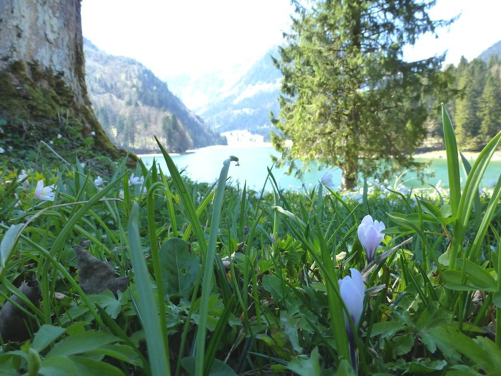 Berghotel Obersee Näfels エクステリア 写真