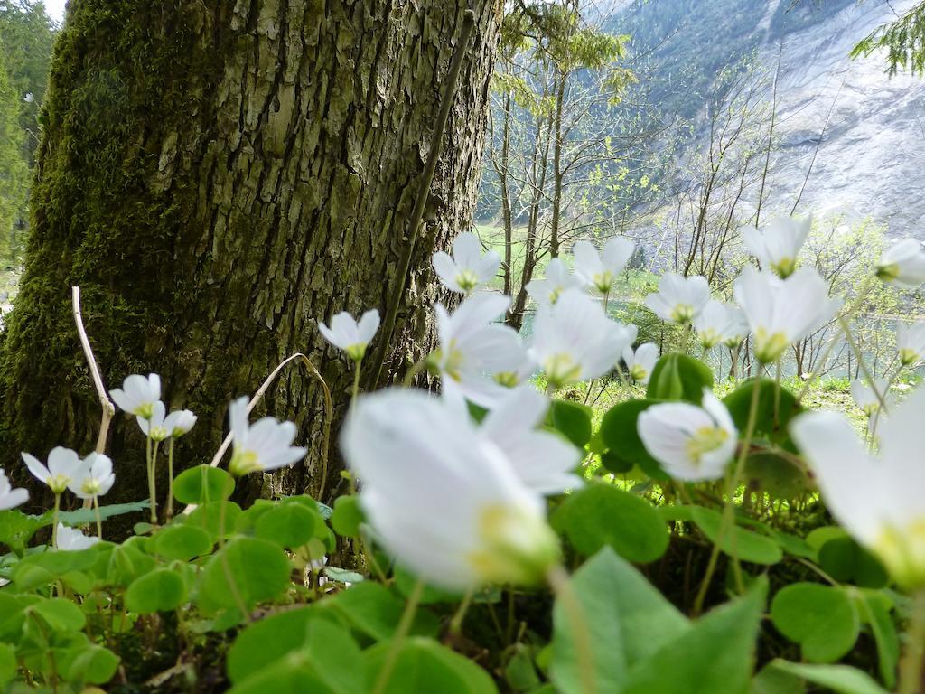 Berghotel Obersee Näfels エクステリア 写真