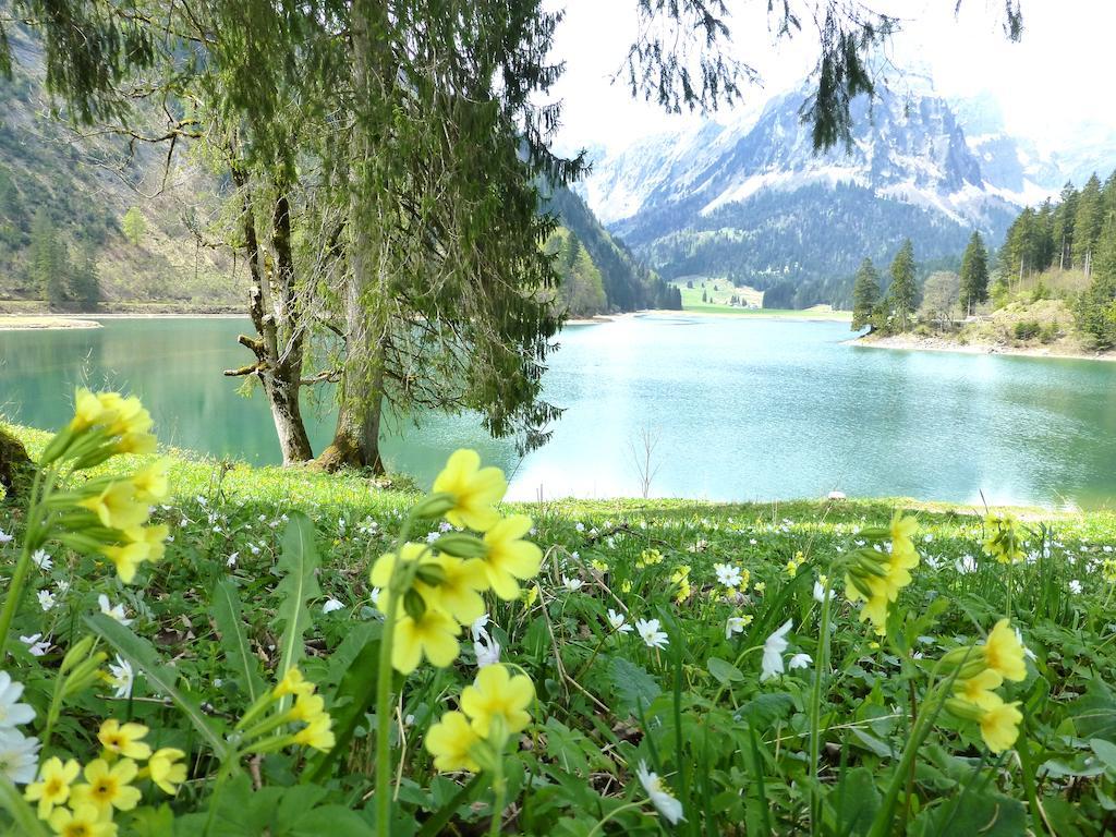 Berghotel Obersee Näfels エクステリア 写真