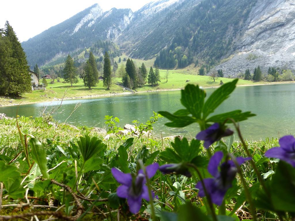Berghotel Obersee Näfels エクステリア 写真