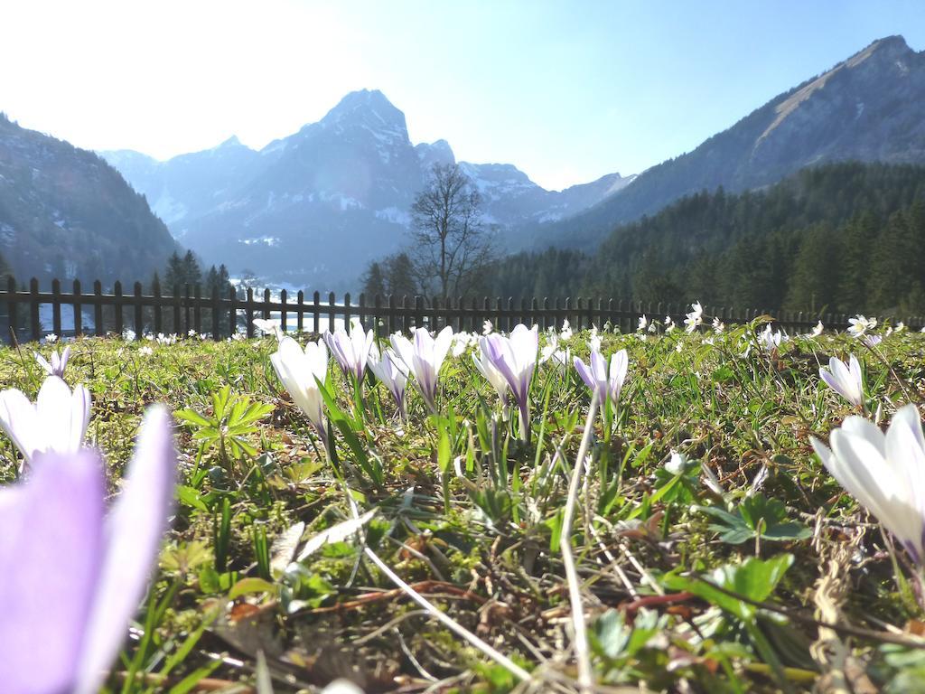 Berghotel Obersee Näfels エクステリア 写真
