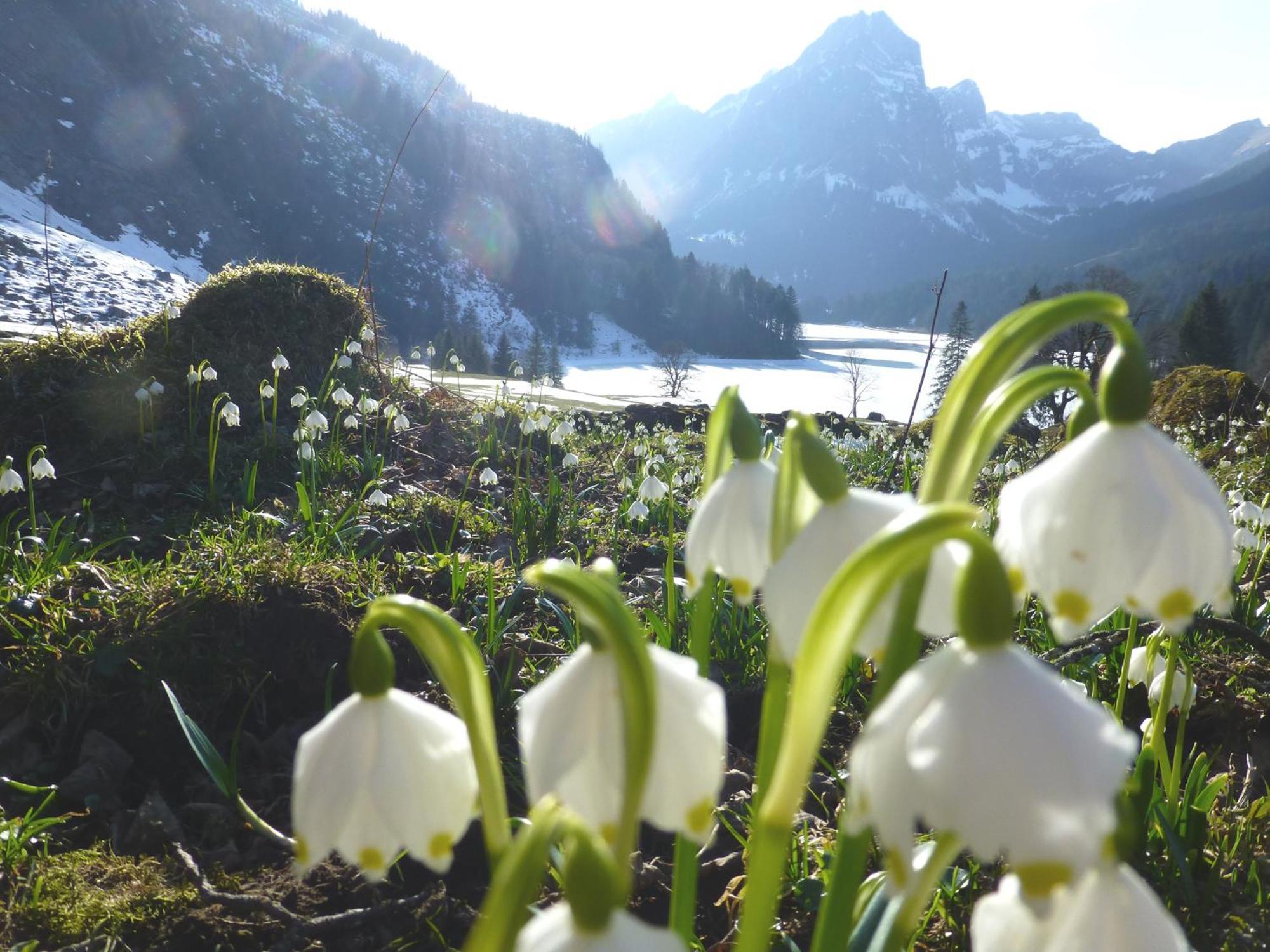Berghotel Obersee Näfels エクステリア 写真
