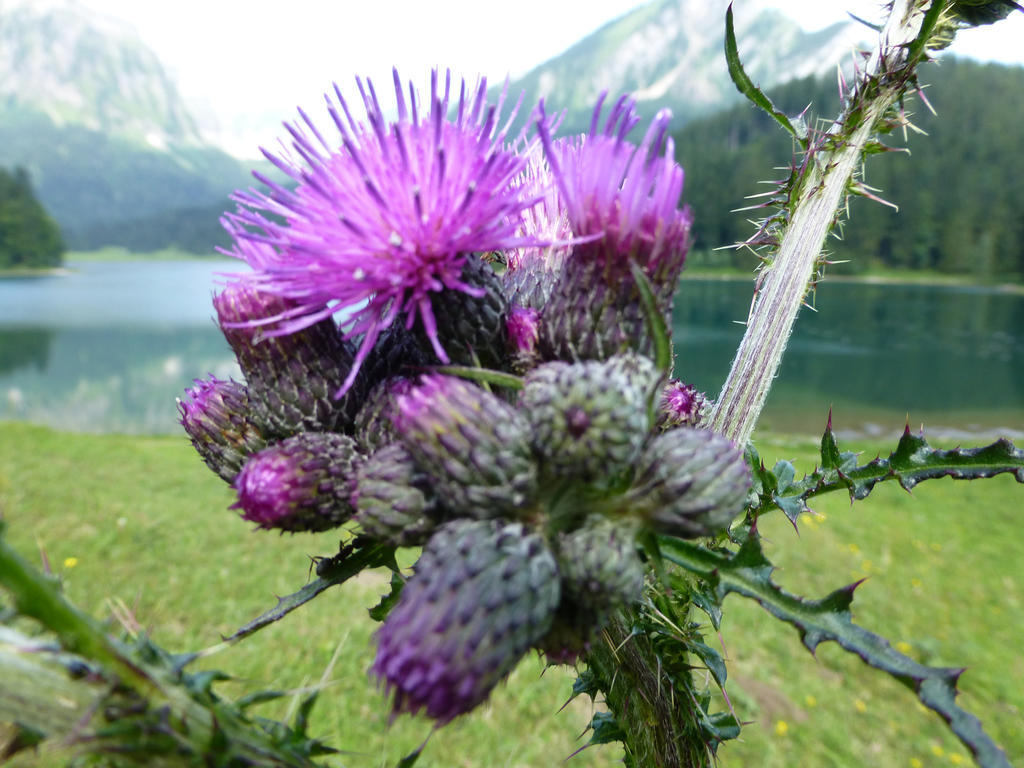 Berghotel Obersee Näfels エクステリア 写真