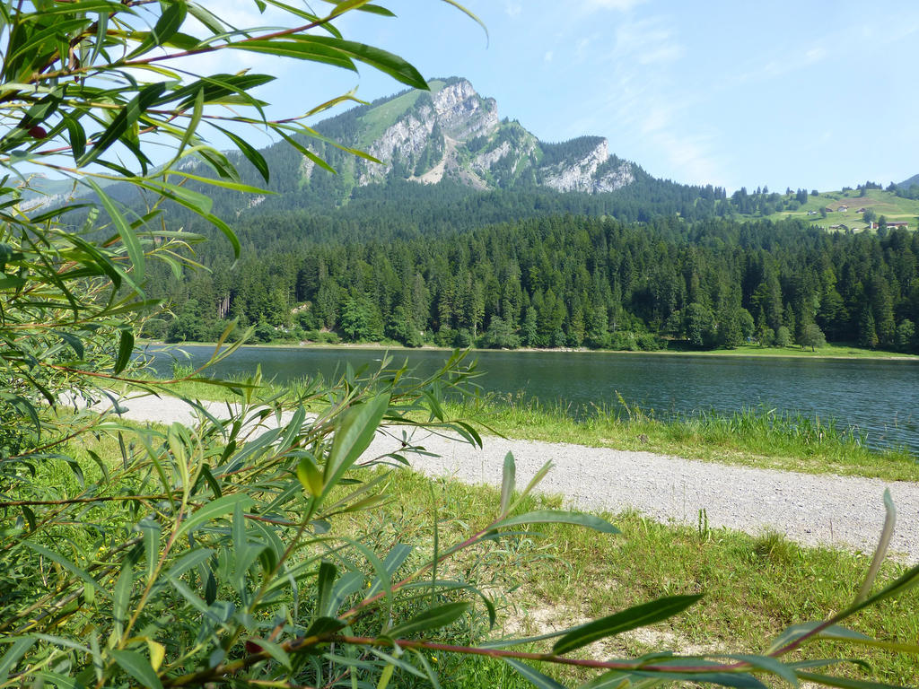 Berghotel Obersee Näfels エクステリア 写真