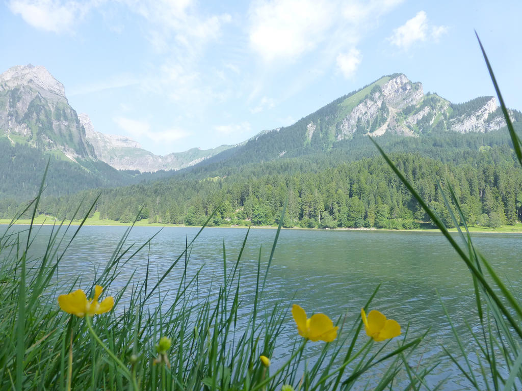 Berghotel Obersee Näfels エクステリア 写真
