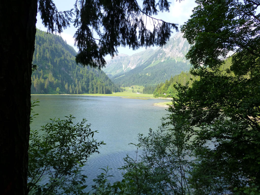 Berghotel Obersee Näfels エクステリア 写真
